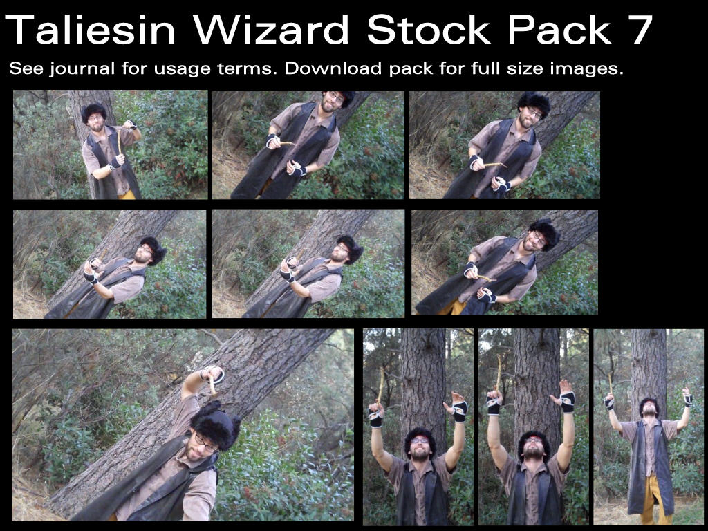 Taliesin Wizard Stock Pack 7