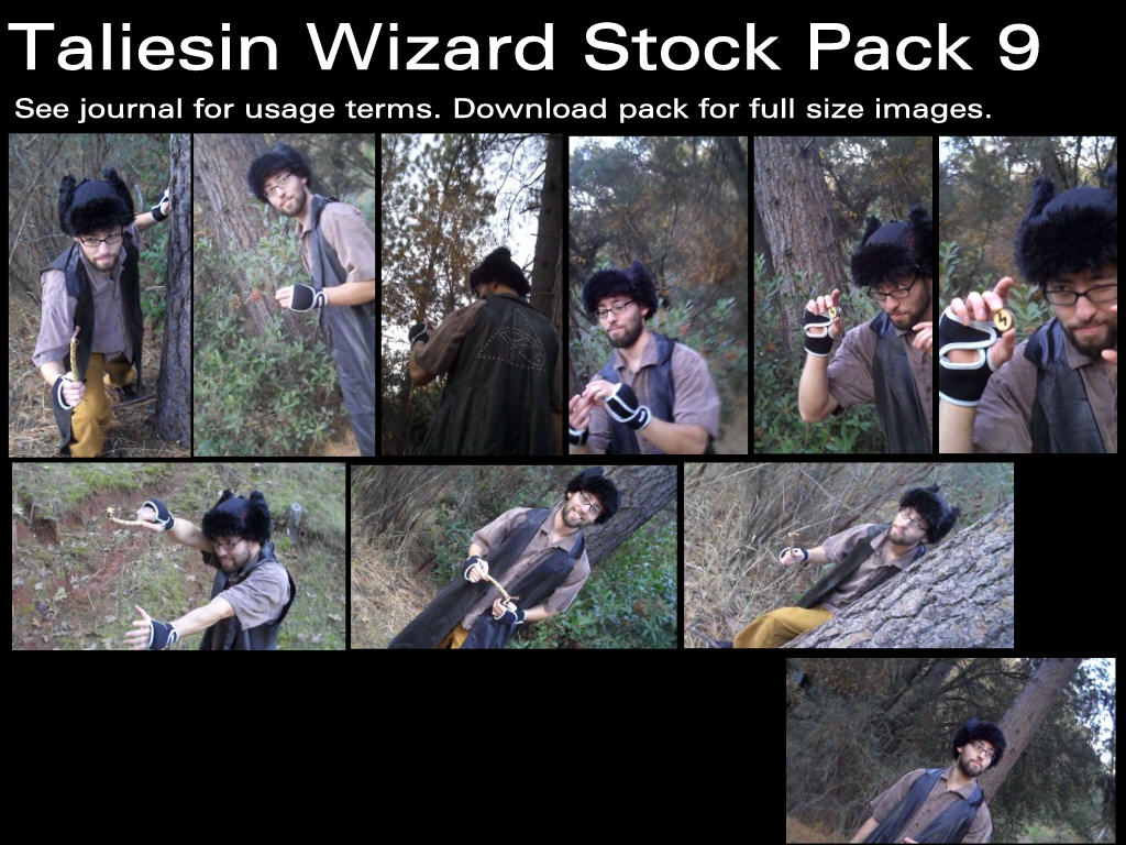 Taliesin Wizard Stock Pack 9