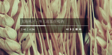 BG Music Player