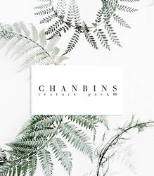 Chanbins Texture Pack #6