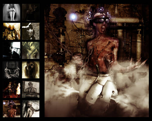 My Flash Gallery