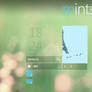 Mints2.0 Suite for XWidget by qq416931658