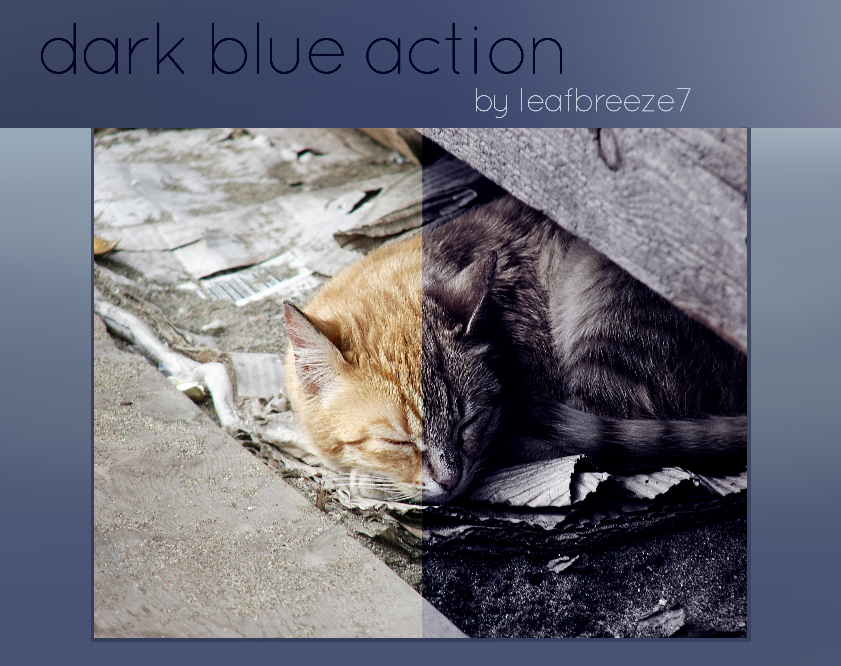 Dark blue action