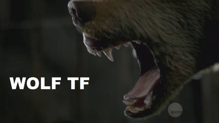 Brentparkforever10 User Profile Deviantart Elena is forced to transform into a wolf, from bitten season 2 ep 4. brentparkforever10 user profile