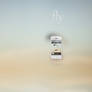 Fly