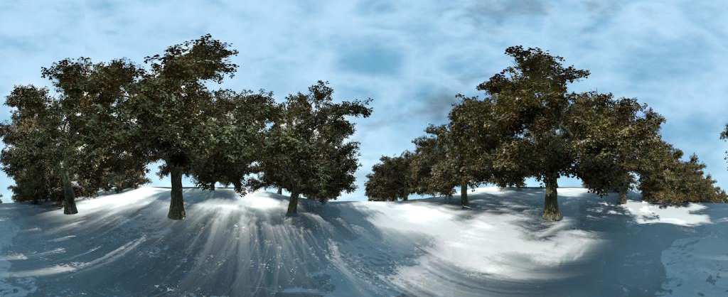 Snowy Road | Panorama