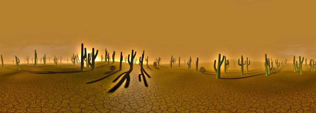 Cacti Desert | Panorama