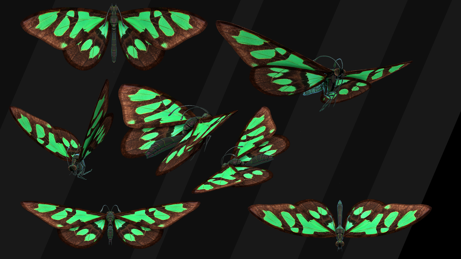 Stock Isolated Monarch butterfly by Abdelrahman on DeviantArt