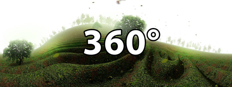 Green Place | 360 Panorama