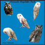 Premade Png Owls Pack