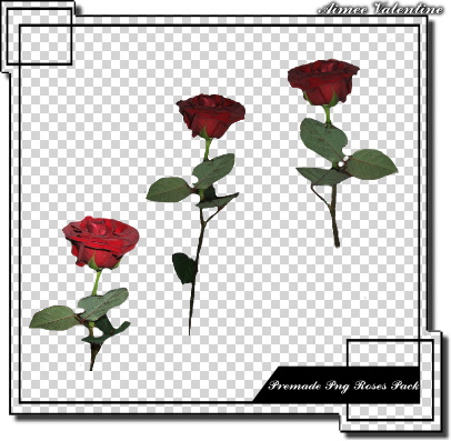 Premade Png Roses Pack by LadyValsArt1983 on DeviantArt