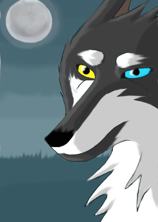 Moonlight wolf by KuroiKyozhi on DeviantArt