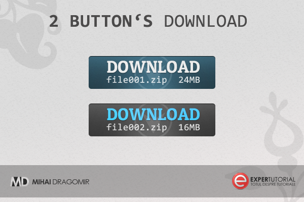 2Button's Download PSD