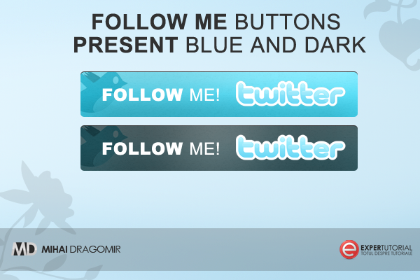 Follow me Twitter Button Free PSD