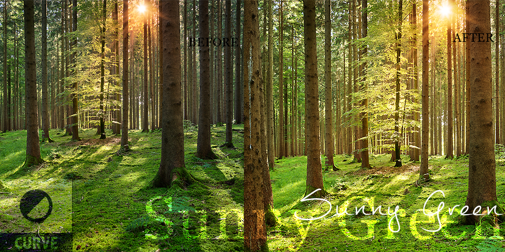 PlanetK SunnyGreen Photoshop Curve
