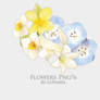 Flowers Png(2)