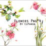 Flowers Png(3)