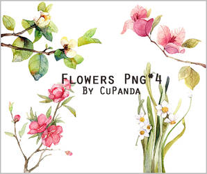 Flowers Png(3)
