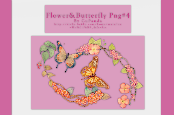 Flower and Butterfly Png