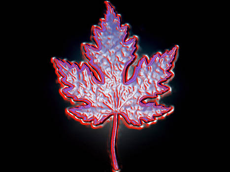 SilveRed Maple Leaf