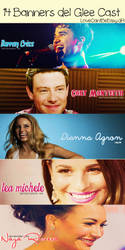 14 Banners Glee Cast