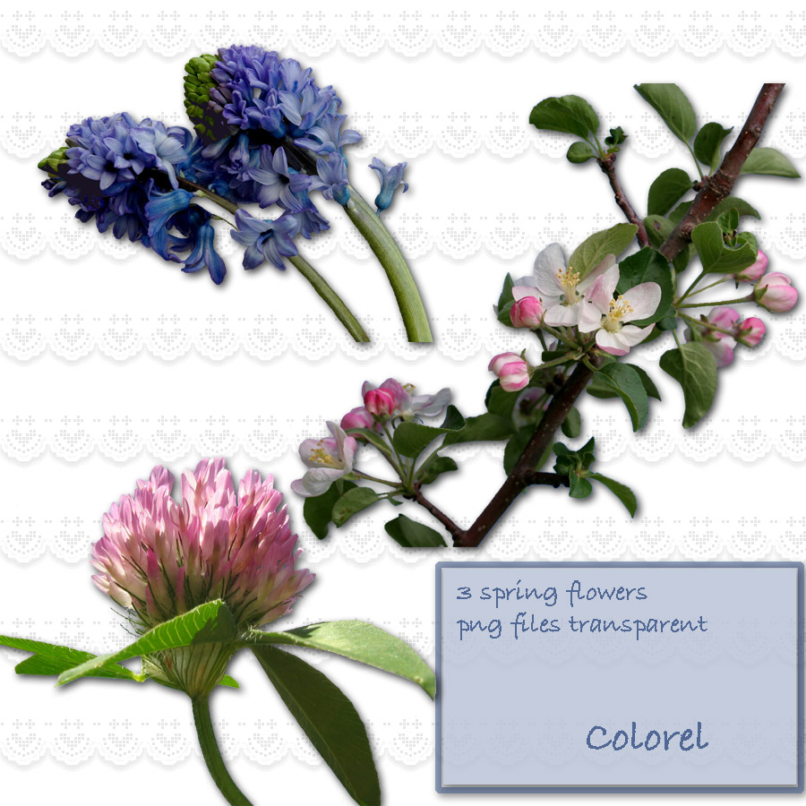Spring Flowers by libidules on DeviantArt