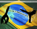 capoeira wallpaper by evolin on deviantart