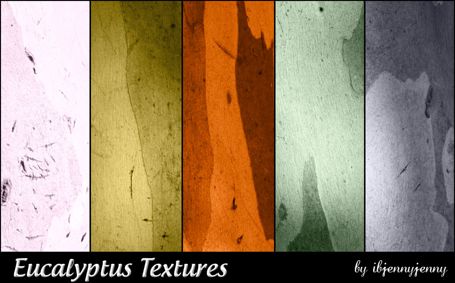 Free Eucalyptus Textures