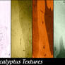 Free Eucalyptus Textures