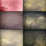 8 Free Floral Composite Textures + Brushes Set 2