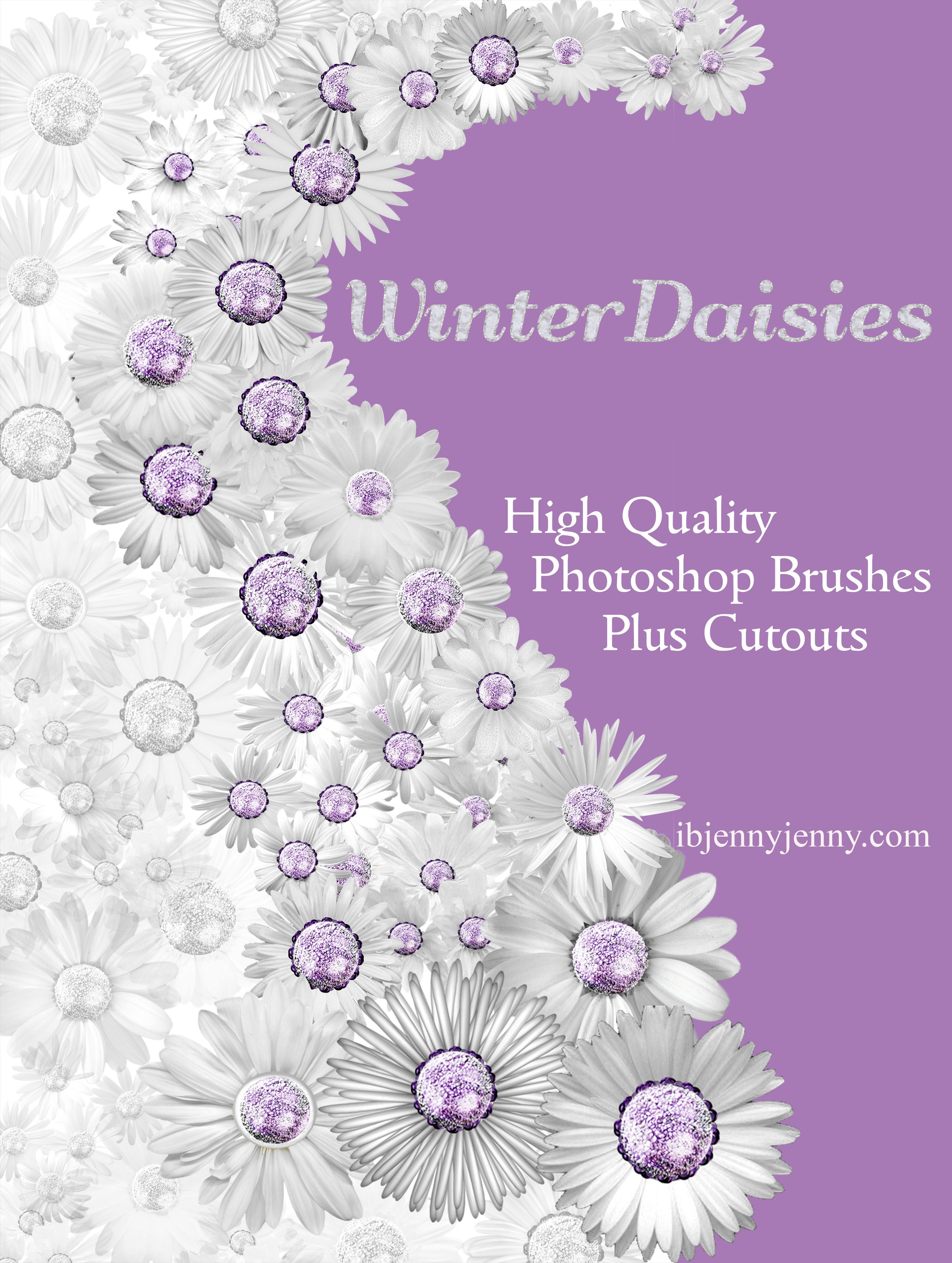 Free Winter Daisies Photoshop Brushes plus Cutouts