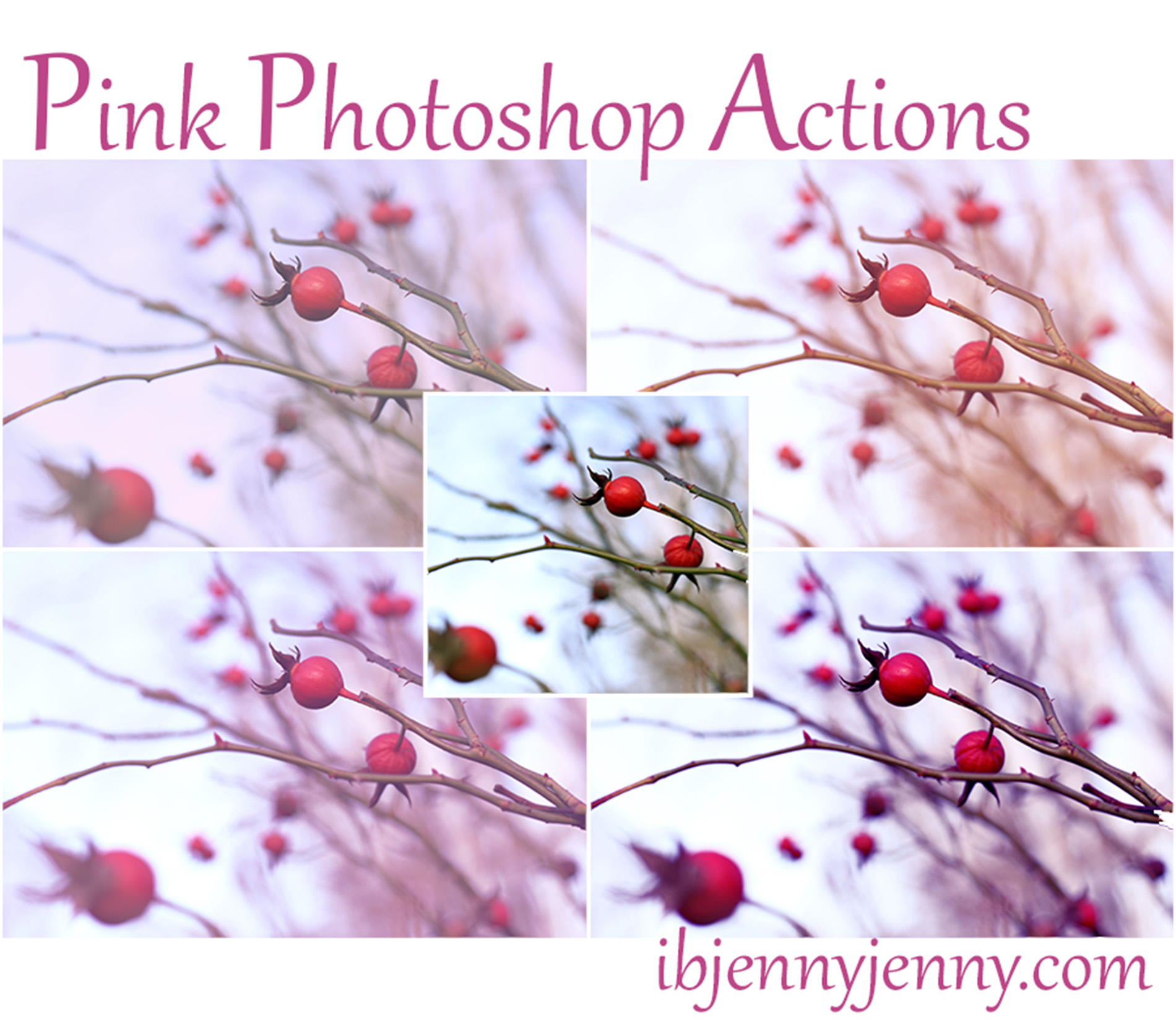 Free Pink Photoshop Actions