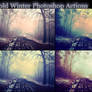 Cold Winter Photoshop Actions