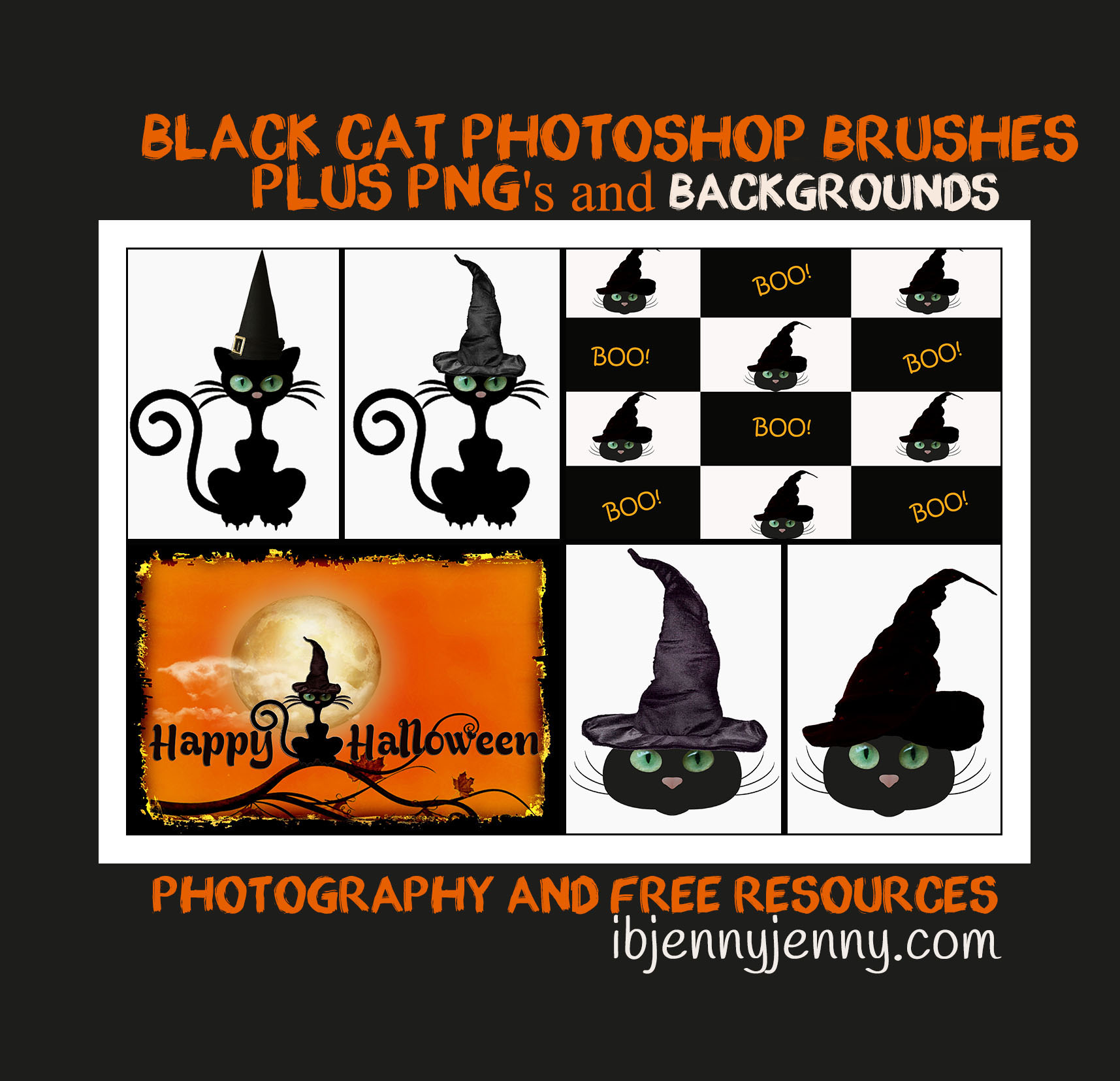 Black Cat Photoshop Brushes Bundle