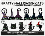 Bratty Halloween Cats Photoshop Brushes Plus PNG's