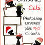 Free Christmas Cats Photoshop Brushes + Png's