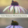 Free Color Enhance Photoshop Action