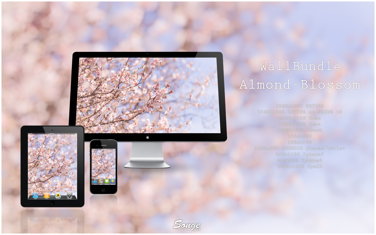 Wallbundle 10 : Almond-Blossom