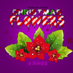 Christmas Flowers PNG