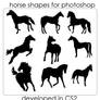 Horse Shapes