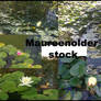 STOCK photo water lillies