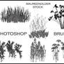 STOCK PHOTOSHOP BRUSHES plants