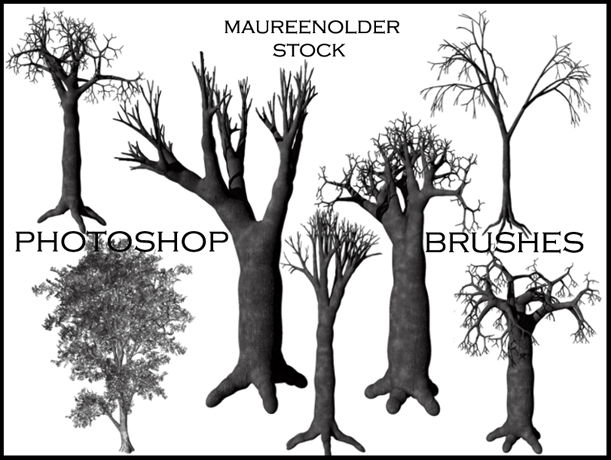 STOCK PHOTOSHOP BRUSHES tree