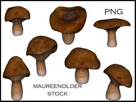 STOCK PNG mushroom