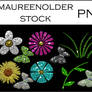 STOCK PNG Butterfliesflowers