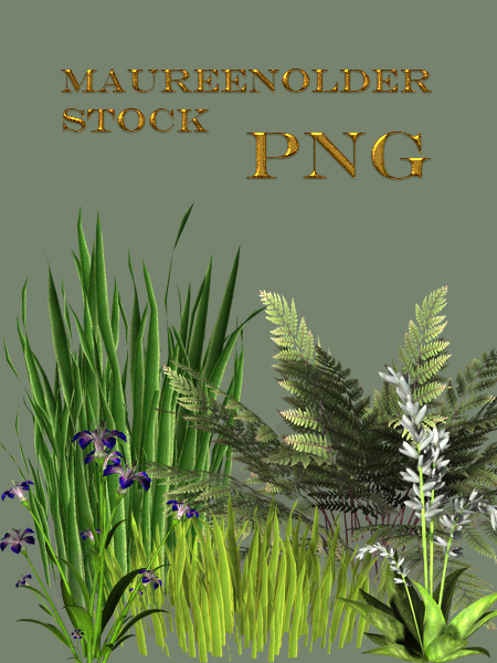 STOCK PNG plants by MaureenOlder