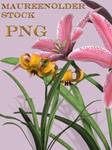 STOCK PNG 2 lillies