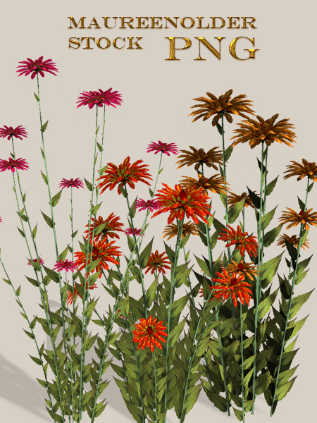 STOCK PNG flower by MaureenOlder