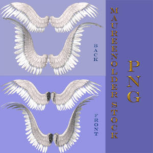 STOCK PNG wings set1