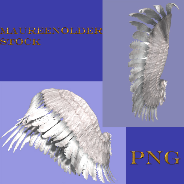 STOCK PNG wings set 2